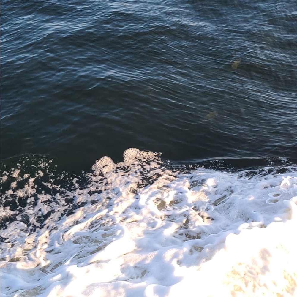 Meet your Posher, Sofia